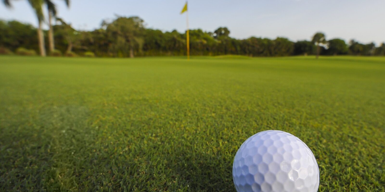 palm beach florida golf polos